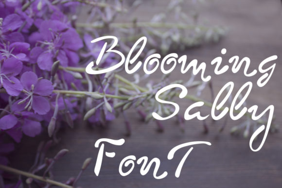 Blooming Sally Font: A Web Designer’s Review