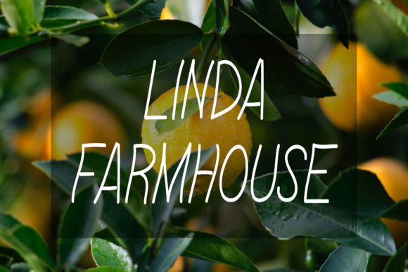 Linda Farmhouse: A Natural Handwritten Font for Branding