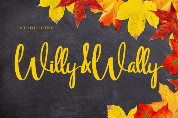 Willy Wally: A Handwritten Font for Web Design